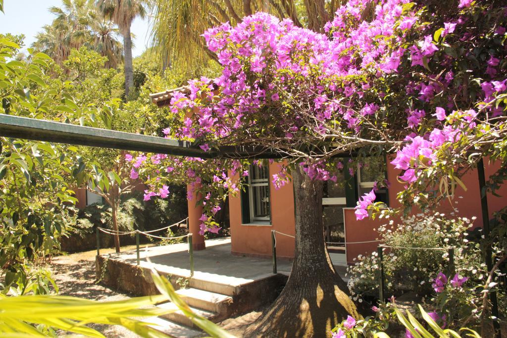 Le Palme Garden Villa San Giorgio  Dış mekan fotoğraf