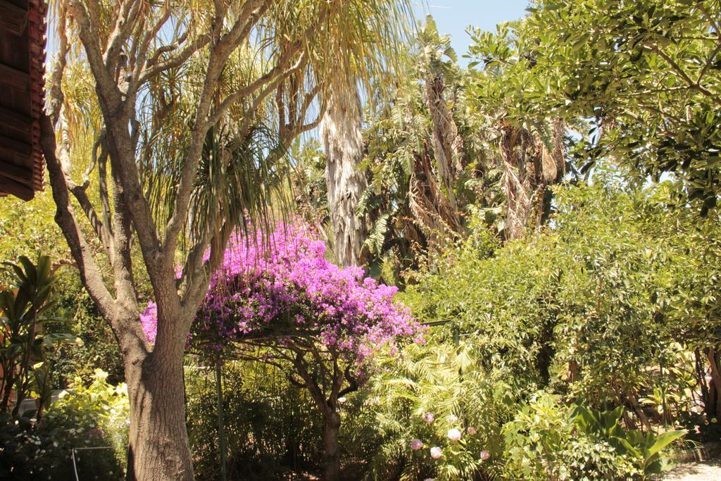 Le Palme Garden Villa San Giorgio  Dış mekan fotoğraf