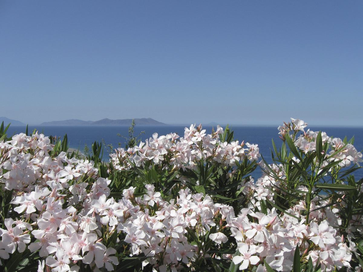 Le Palme Garden Villa San Giorgio  Dış mekan fotoğraf